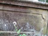 image of grave number 583907
